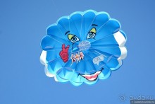 Два баклажана в Сиде