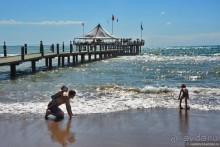 Два баклажана в Сиде