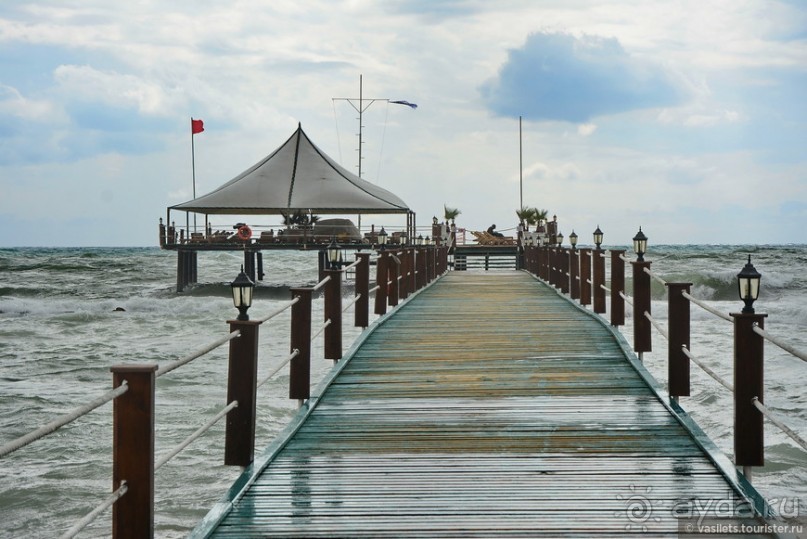 Два баклажана в Сиде