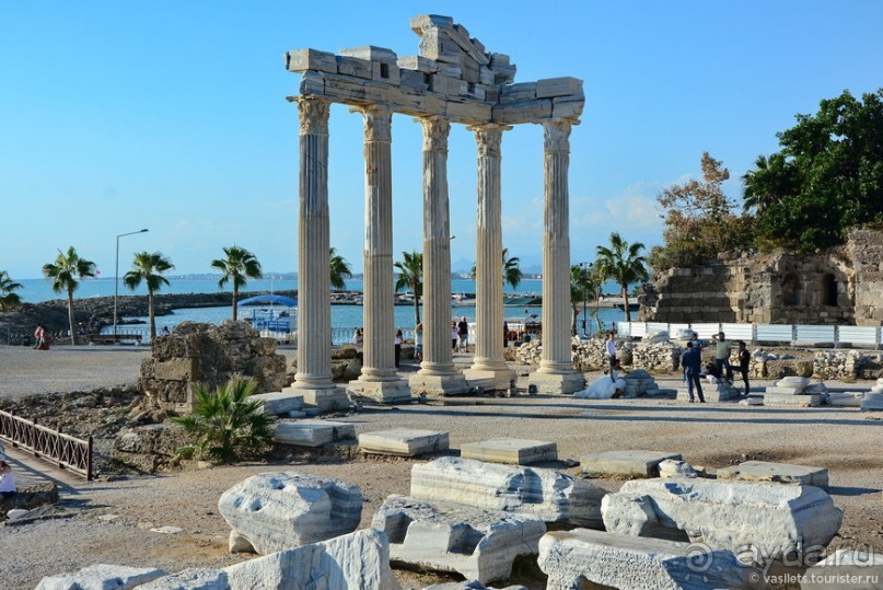 Два баклажана в Сиде