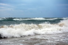 Два баклажана в Сиде