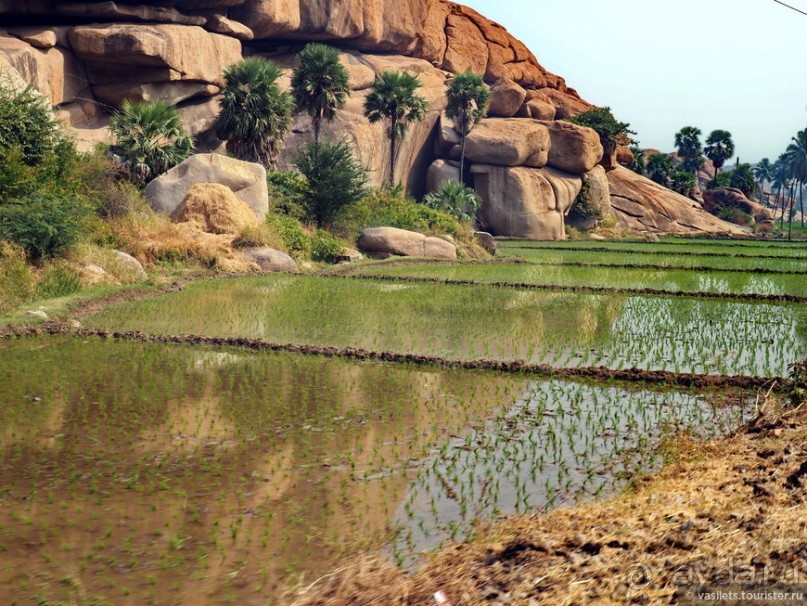 Хампи — дикое, но привлекательное