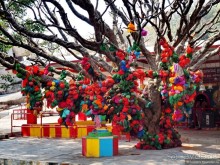 Хампи — дикое, но привлекательное