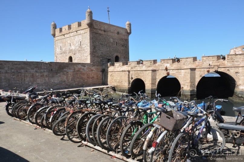 Эссуэйра — город кошек и таджинов