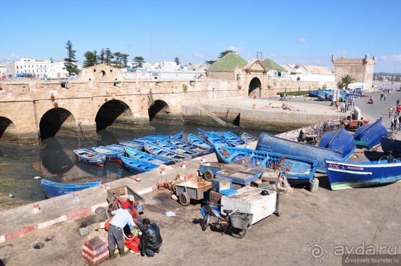 Эссуэйра — город кошек и таджинов