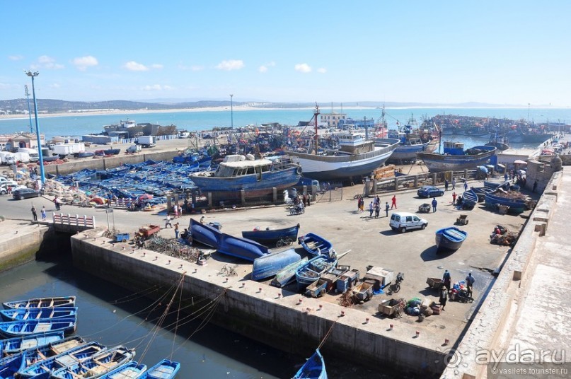 Эссуэйра — город кошек и таджинов