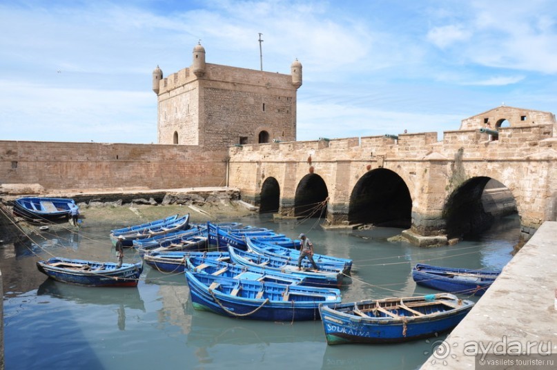 Эссуэйра — город кошек и таджинов