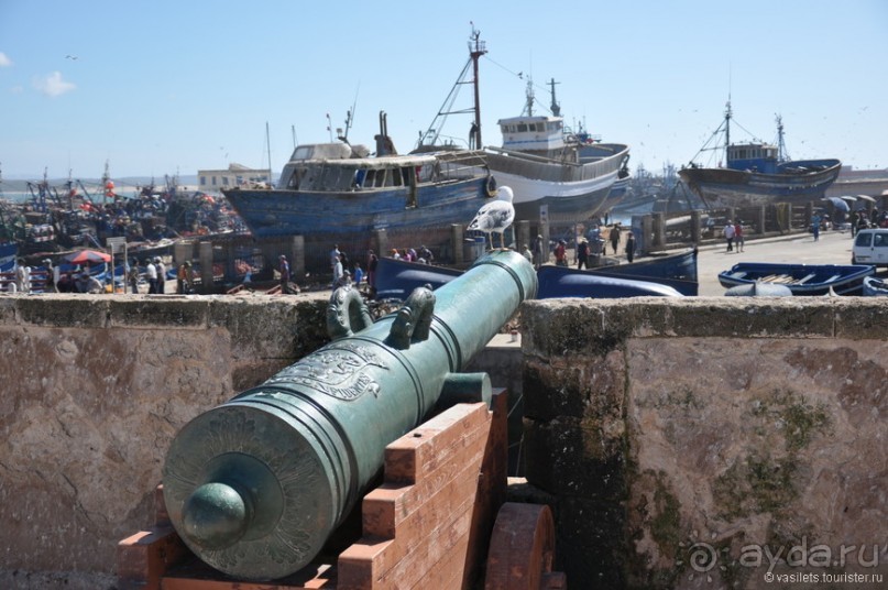 Эссуэйра — город кошек и таджинов