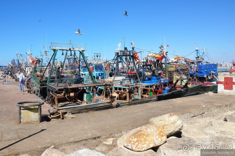 Эссуэйра — город кошек и таджинов