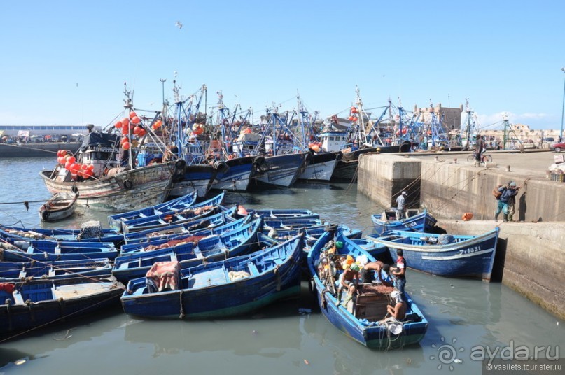 Эссуэйра — город кошек и таджинов