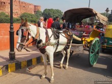 Тадж Махал — бриллиант в индийском трэше