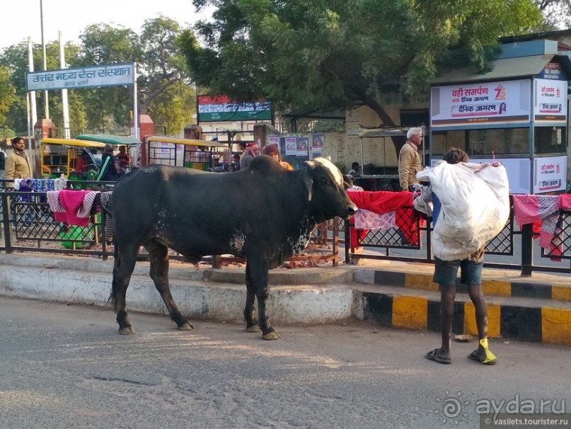 Тадж Махал — бриллиант в индийском трэше