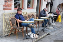 Пасмурный, но привлекательный Гент