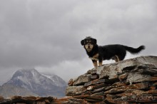 Грузия. Блиц-калейдоскоп