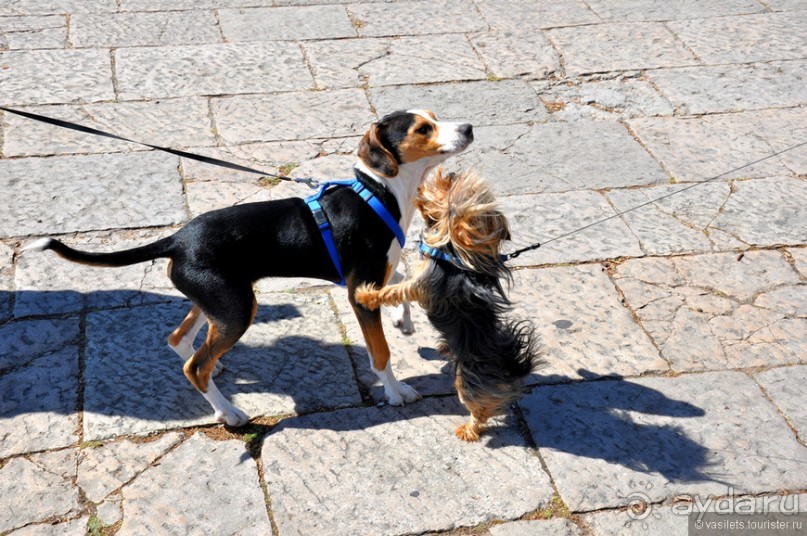 Лиссабон, весна, фото