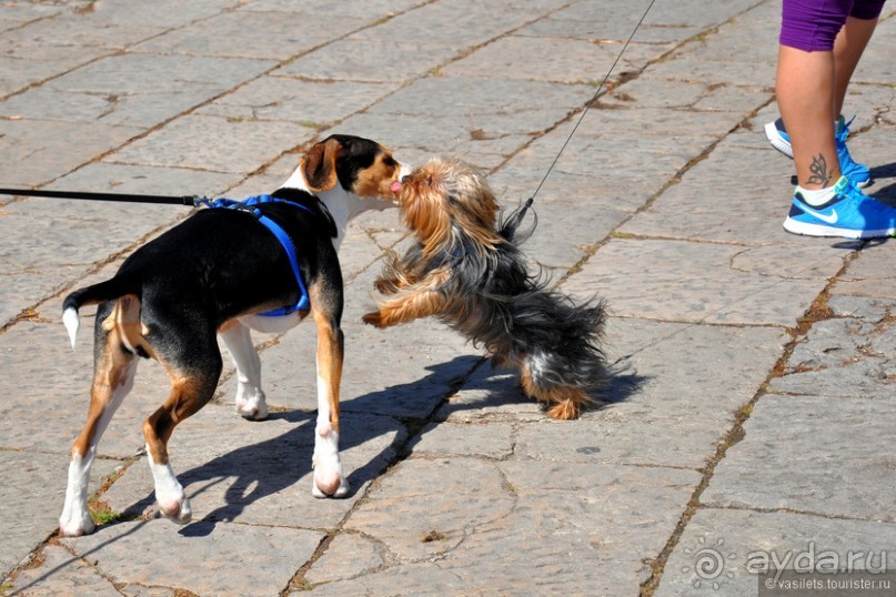 Лиссабон, весна, фото