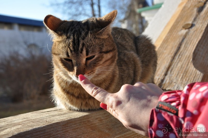 Звенигород — симпатичное заМКАДье.