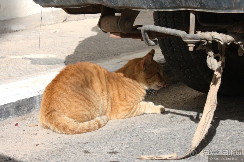 Агиос Николаис. Крит