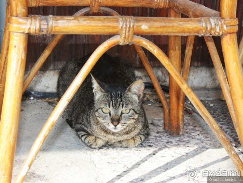 Агиос Николаис. Крит