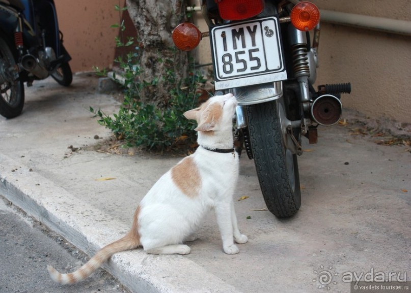 Агиос Николаис. Крит