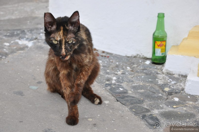 Панама-сити и канал впридачу