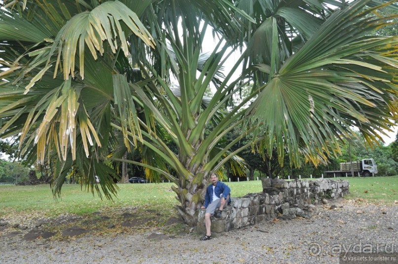 Панама-сити и канал впридачу