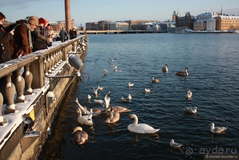 Новогодний Силья-круиз