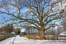 Псковский край — идея на выходные
