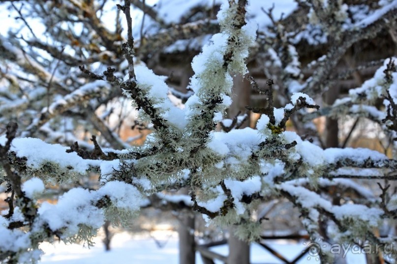 Псковский край — идея на выходные