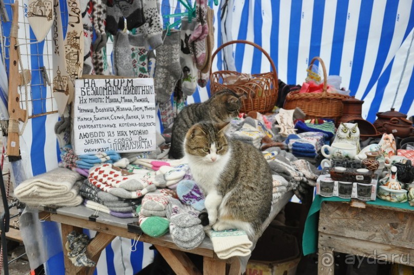 Псковский край — идея на выходные