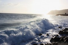 Критские хроники с летающими овцами