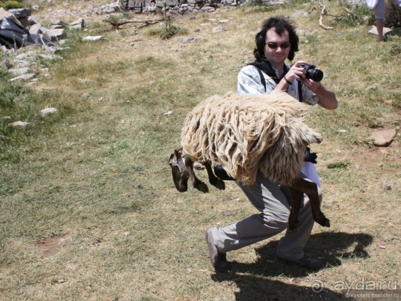 Критские хроники с летающими овцами