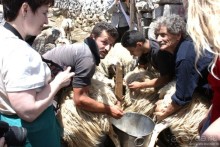 Критские хроники с летающими овцами