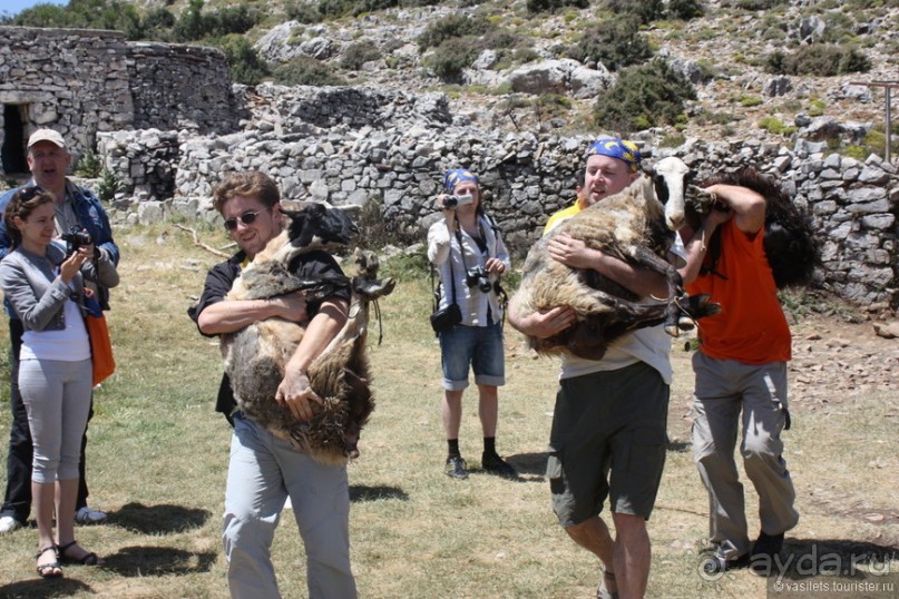 Критские хроники с летающими овцами
