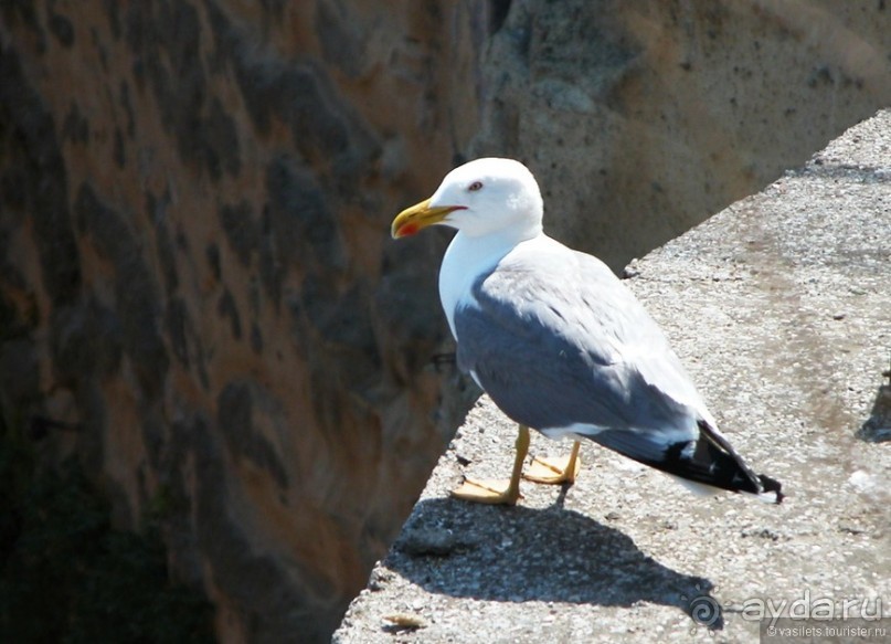 Помпеи и Неаполь - две стороны одной медали