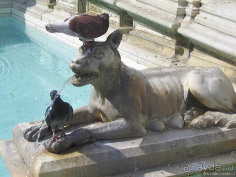 Сиенна. Остров средневековья в XXI веке