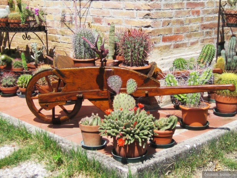 Сиенна. Остров средневековья в XXI веке