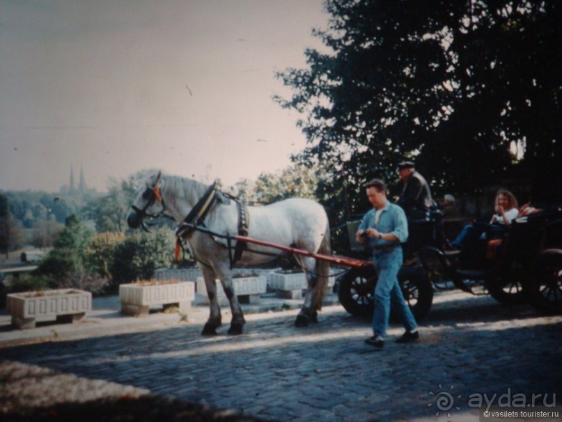 Шоп-тур: килька по-польски