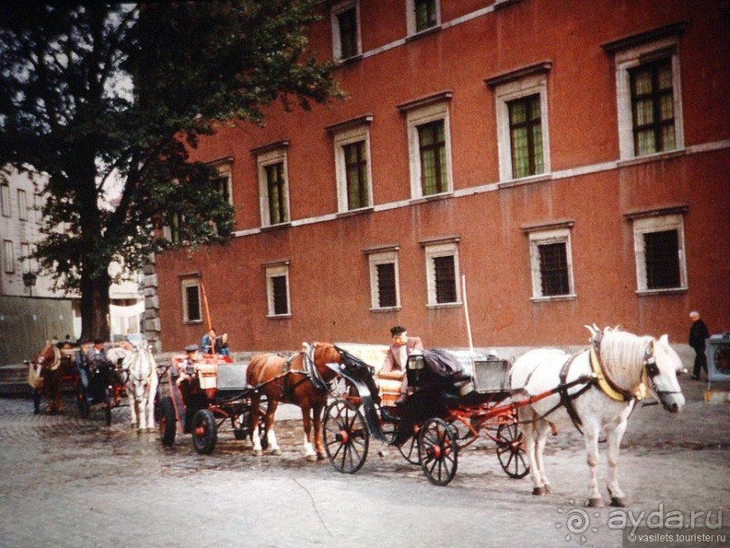 Шоп-тур: килька по-польски