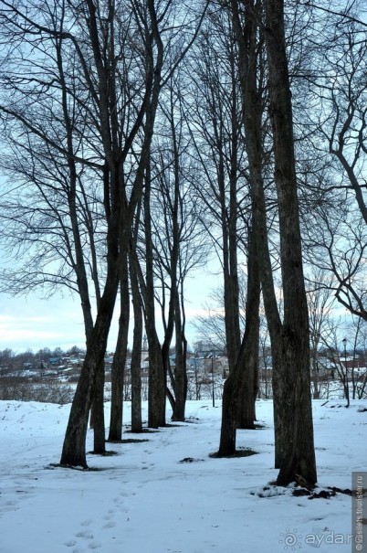 В Суздаль на сломанной ноге