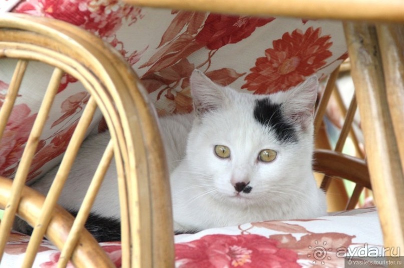 Турция неожиданная - центральная