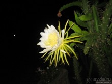 Непляжная Турция. Каппадокия