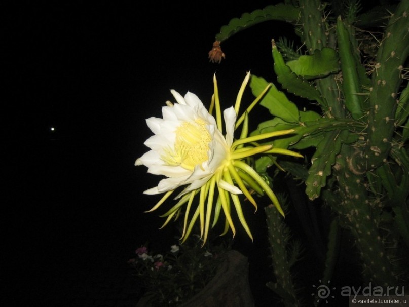 Непляжная Турция. Каппадокия