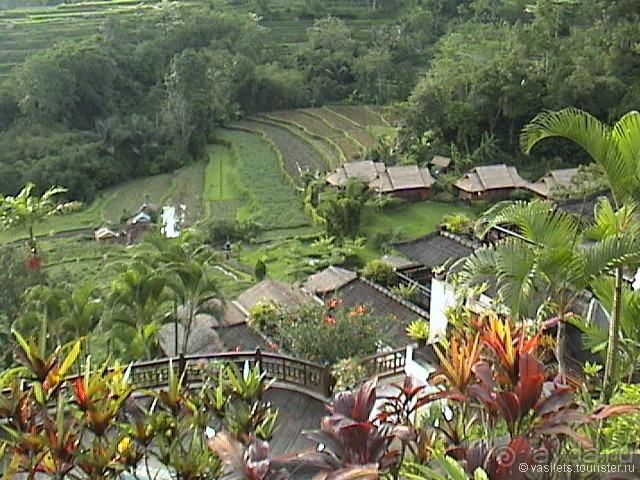 Один день на Яве