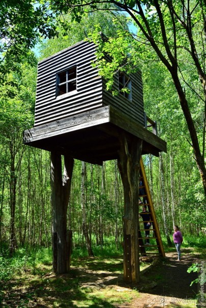 Никола Ленивец - кто такой?