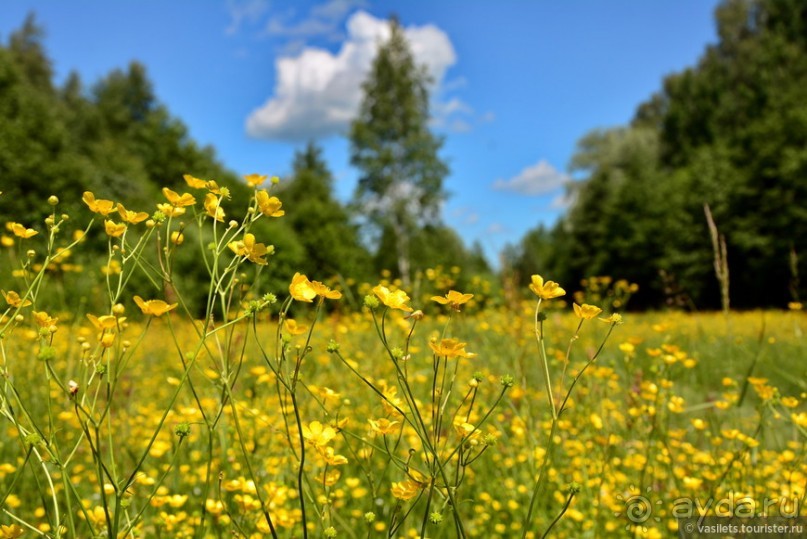 Никола Ленивец - кто такой?