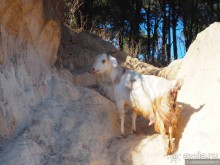 фото Катманду