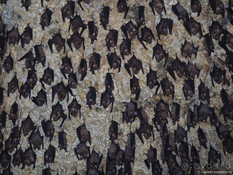 Горный Непал — Нагаркот и Покхара