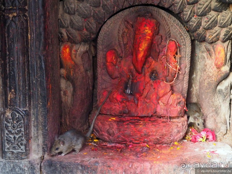 Горный Непал — Нагаркот и Покхара