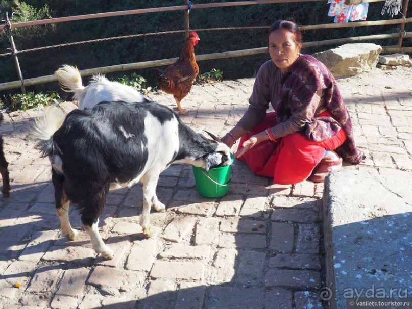 Горный Непал — Нагаркот и Покхара